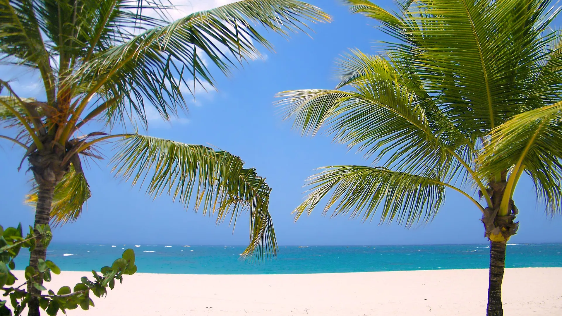 Viva Heavens By Wyndham, A Trademark All Inclusive (Adults Only) Puerto Plata 4*,