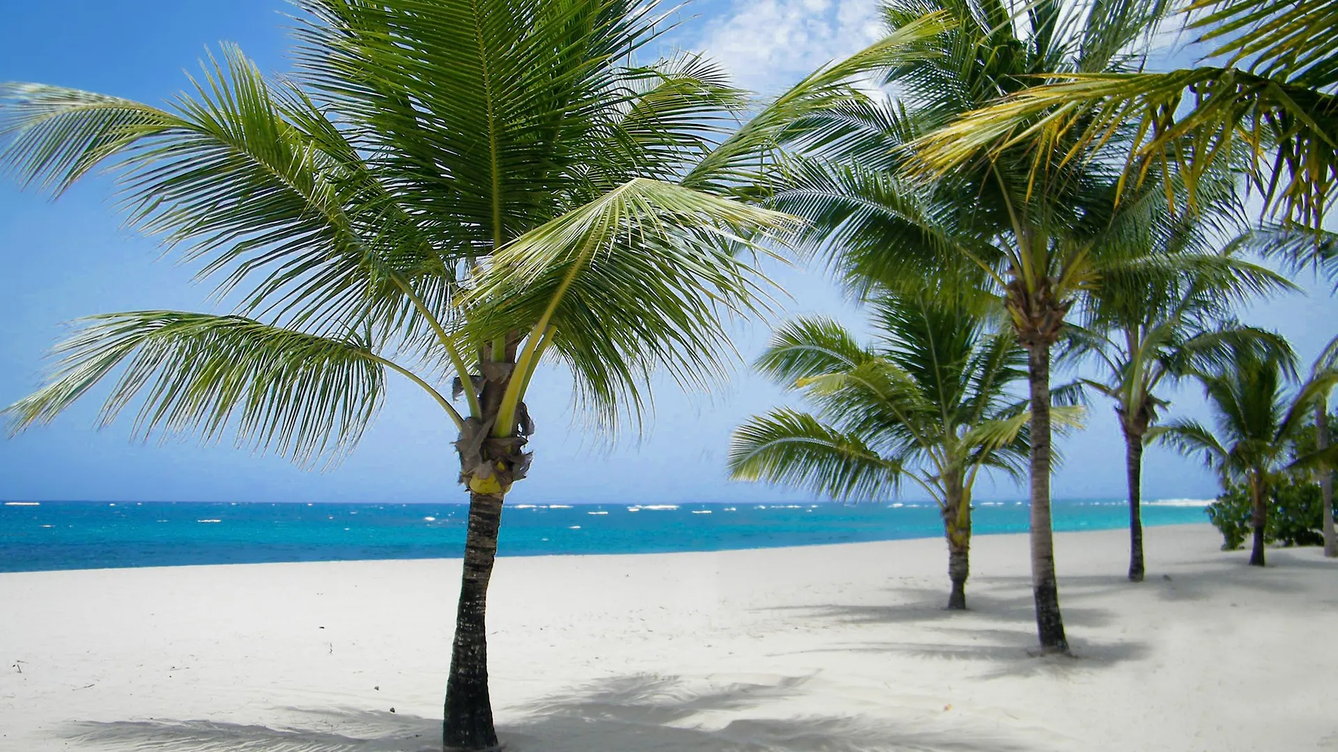 Viva Heavens By Wyndham, A Trademark All Inclusive (Adults Only) Puerto Plata Resort