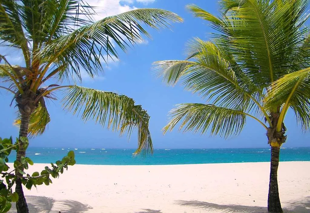 Resort Viva Heavens By Wyndham, A Trademark All Inclusive (Adults Only) Puerto Plata